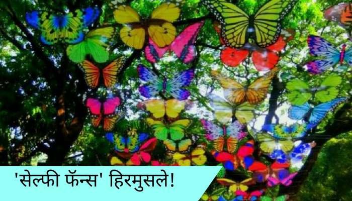 निवडणुकीनंतर मनसेला 'सेल्फी पॉईंट'चाही खर्च परवडेना! निवडणुकीनंतर मनसेला 'सेल्फी पॉईंट'चाही खर्च परवडेना!