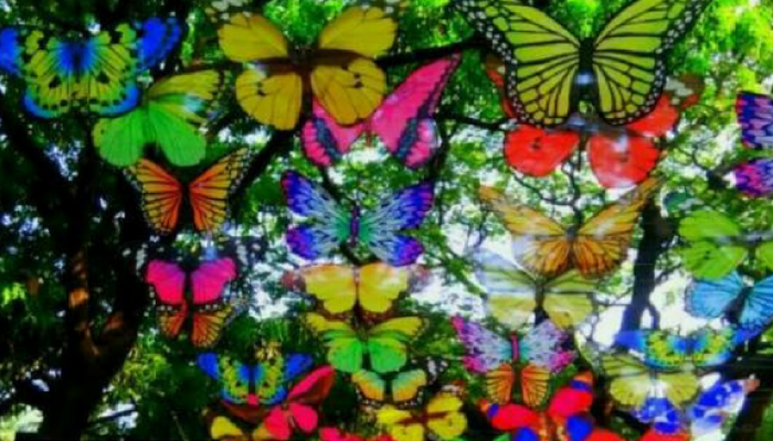 सेल्फी पॉईंटची परवानगी रद्द, राजकीय नेत्यांना आयुक्तांचा दणका सेल्फी पॉईंटची परवानगी रद्द, राजकीय नेत्यांना आयुक्तांचा दणका