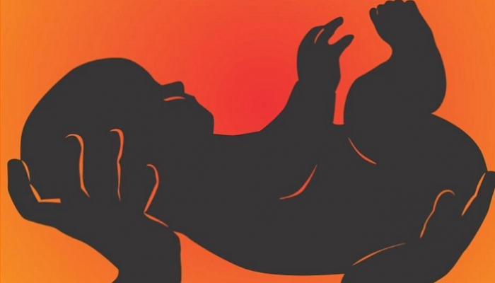 'म्हैसाळमधल्या अर्भकांच्या मृत्यूसाठी राज्य सरकारच जबाबदार' 'म्हैसाळमधल्या अर्भकांच्या मृत्यूसाठी राज्य सरकारच जबाबदार'
