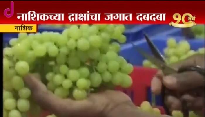नाशिक द्राक्षांच्या चीन, रशियाला भूरळ नाशिक द्राक्षांच्या चीन, रशियाला भूरळ