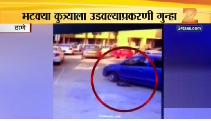 कुत्र्यावरून गाडी चालवणारा सीसीटीव्हीत कैद कुत्र्यावरून गाडी चालवणारा सीसीटीव्हीत कैद