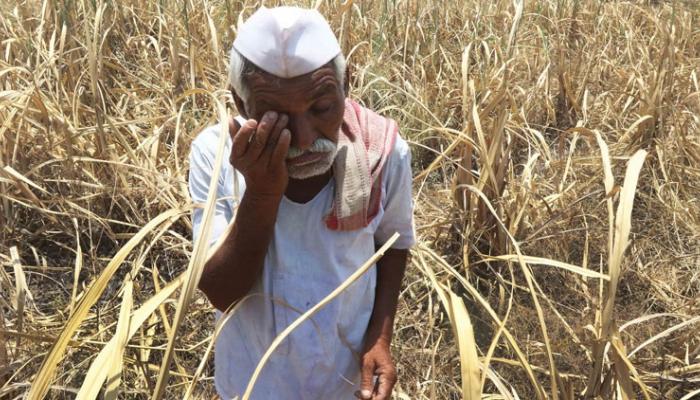 यंदाच्या अर्थसंकल्पात कृषी क्षेत्रासाठी तरतूद कमीच यंदाच्या अर्थसंकल्पात कृषी क्षेत्रासाठी तरतूद कमीच