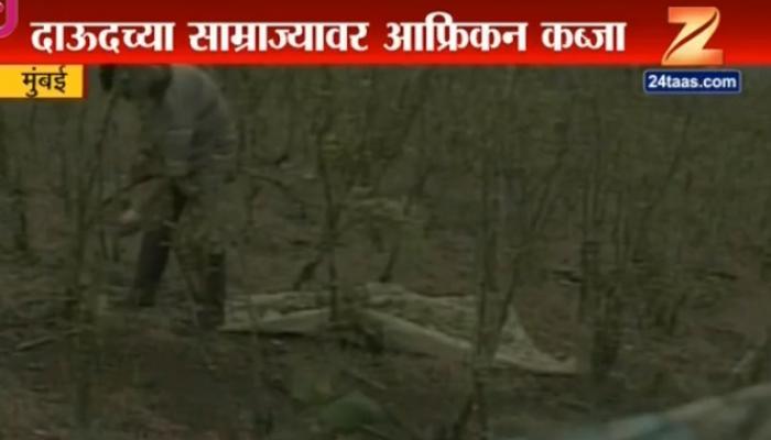 डॉन दाऊदला आता आफ्रिका अंडरवर्ल्ड गॅंगचा शह डॉन दाऊदला आता आफ्रिका अंडरवर्ल्ड गॅंगचा शह