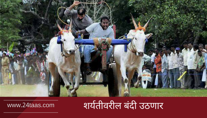 बैलगाडा शर्यत विधेयक विधानसभेत मंजूर बैलगाडा शर्यत विधेयक विधानसभेत मंजूर