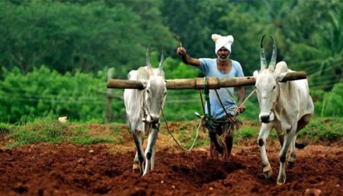 पिककर्ज कर्ज म्हणजे काय रे भाऊ? पिककर्ज कर्ज म्हणजे काय रे भाऊ?
