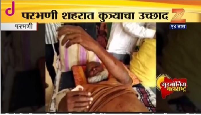 परभणी शहरात कुत्र्याचा सात ते आठ जणांना चावा परभणी शहरात कुत्र्याचा सात ते आठ जणांना चावा