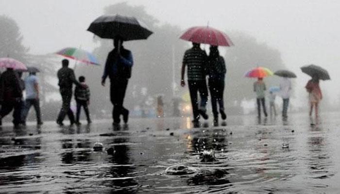 सिंधुदुर्गमध्ये मुसळधार पाऊस, शेतीचं मोठं नुकसान सिंधुदुर्गमध्ये मुसळधार पाऊस, शेतीचं मोठं नुकसान