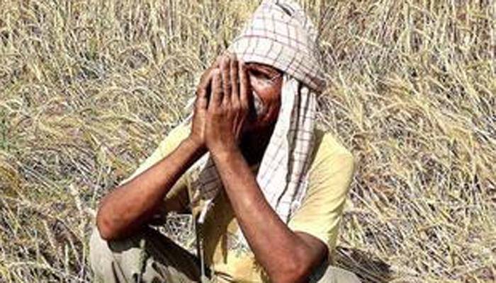 कॅशलेसमुळे व्यापारी करताहेत शेतकऱ्यांची फसवणूक कॅशलेसमुळे व्यापारी करताहेत शेतकऱ्यांची फसवणूक