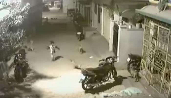 कुत्र्यांनी पाठलाग करत चिमुकल्याला घेरले...पण बालकाने असे दाखवले साहस...पाहा व्हिडिओ कुत्र्यांनी पाठलाग करत चिमुकल्याला घेरले...पण बालकाने असे दाखवले साहस...पाहा व्हिडिओ