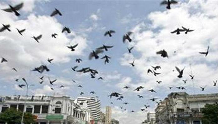 राजधानी दिल्ली, हिस्सारला पुन्हा एकदा भूकंपाचा धक्का राजधानी दिल्ली, हिस्सारला पुन्हा एकदा भूकंपाचा धक्का