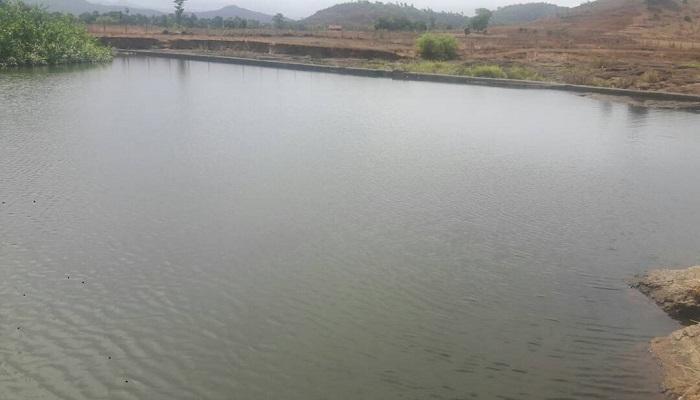 तलावात बुडून ५ जणांचा मृत्यू तलावात बुडून ५ जणांचा मृत्यू