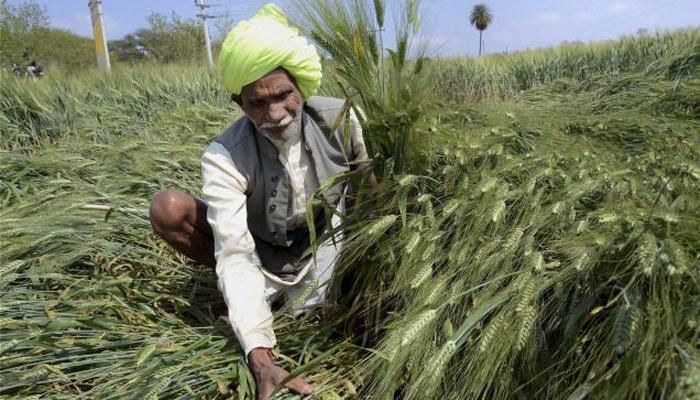 यवतमाळमध्ये मान्सूनपूर्व पावसाचा कहर यवतमाळमध्ये मान्सूनपूर्व पावसाचा कहर