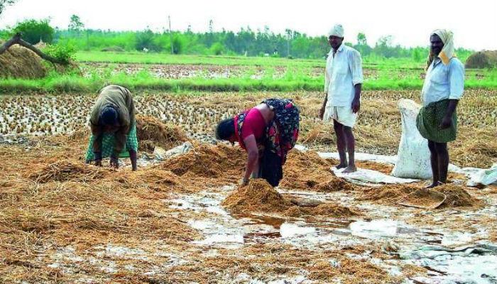 पाऊस दाखल, मात्र शेतकऱ्यांचा 'तेरावा' महिना सुरूच! पाऊस दाखल, मात्र शेतकऱ्यांचा 'तेरावा' महिना सुरूच!