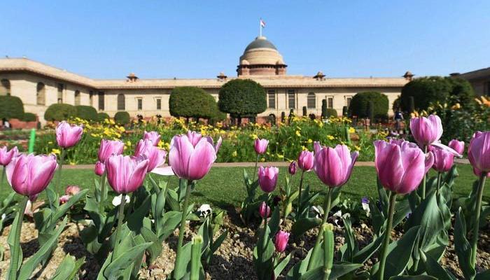 राष्ट्रपती निवडणुकीसाठी दोघांनी भरले उमेदवारी अर्ज, एकाचा अर्ज फेटाळला राष्ट्रपती निवडणुकीसाठी दोघांनी भरले उमेदवारी अर्ज, एकाचा अर्ज फेटाळला