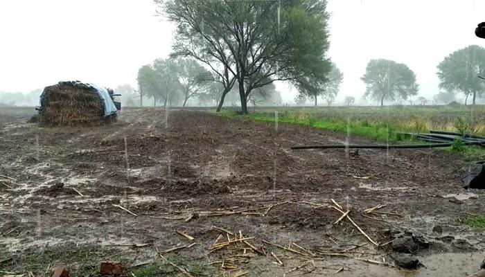 लातूर, निलंगामध्ये दमदार पाऊस लातूर, निलंगामध्ये दमदार पाऊस