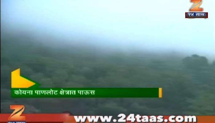 कोयना धरण पाणलोट क्षेत्रात पावसाची संततधार सुरु कोयना धरण पाणलोट क्षेत्रात पावसाची संततधार सुरु