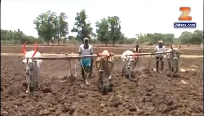 पावसाने दडी मारल्याने शेतकऱ्यांवर दुबार पेरणीचं मोठं संकट पावसाने दडी मारल्याने शेतकऱ्यांवर दुबार पेरणीचं मोठं संकट