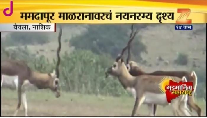 हे सुंदर दृश्य आहे महाराष्ट्रातलं हे सुंदर दृश्य आहे महाराष्ट्रातलं