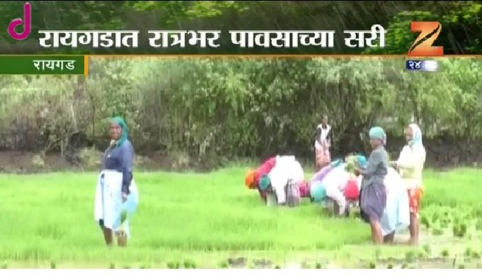 रायगड जिल्ह्यात पावसाची दमदार हजेरी रायगड जिल्ह्यात पावसाची दमदार हजेरी