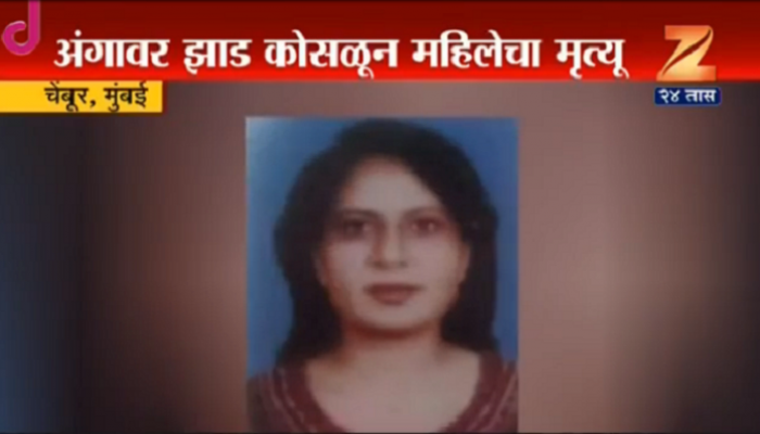 VIDEO : नारळाचं झाड अंगावर कोसळून महिलेचा मृत्यू VIDEO : नारळाचं झाड अंगावर कोसळून महिलेचा मृत्यू
