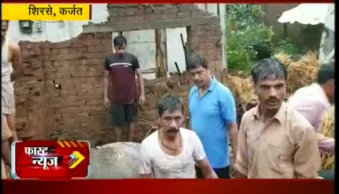 पावसामुळे गोठा कोसळून तीन म्हशींचा मृत्यू , महिला जखमी पावसामुळे गोठा कोसळून तीन म्हशींचा मृत्यू , महिला जखमी