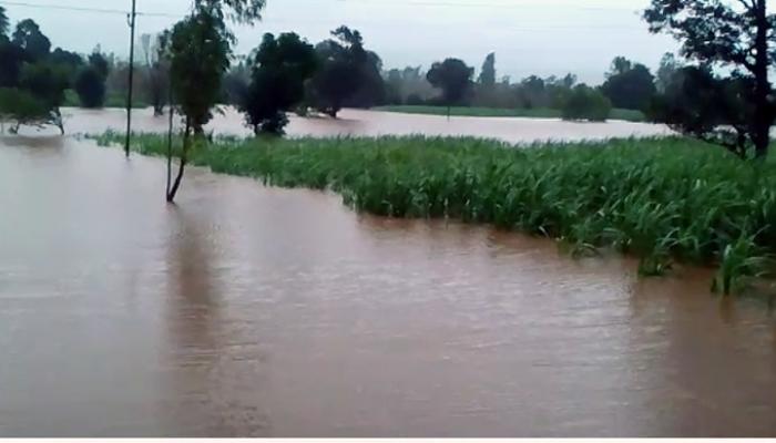 कोल्हापुरात पावसाची उसंत, पूरस्थिती जैसे थे कोल्हापुरात पावसाची उसंत, पूरस्थिती जैसे थे