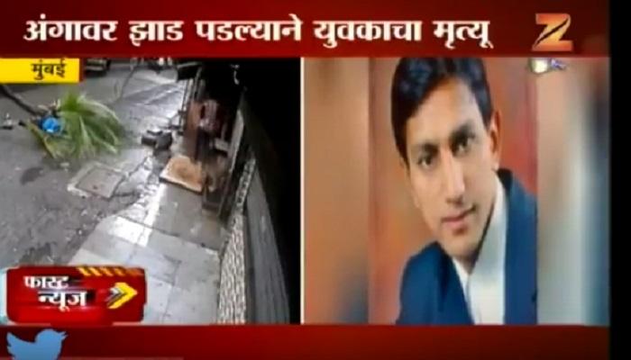 ठाण्यात अंगावर झाड कोसळून वकिलाचा मृत्यू ठाण्यात अंगावर झाड कोसळून वकिलाचा मृत्यू