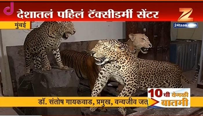 नॅशनल पार्कमध्ये देशातील पहिले टॅक्सीडर्मी सेंटर नॅशनल पार्कमध्ये देशातील पहिले टॅक्सीडर्मी सेंटर