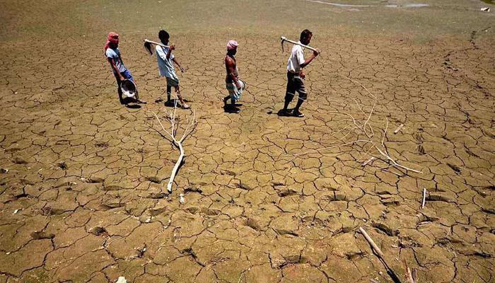 मराठवाडा पुन्हा दुष्काळाच्या छायेत, ४८ दिवसांपासून पावसाची दडी मराठवाडा पुन्हा दुष्काळाच्या छायेत, ४८ दिवसांपासून पावसाची दडी