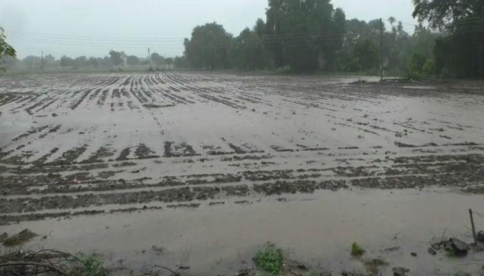 हवामान खात्याचा अंदाज खरा ठरला! बीडमध्ये मुसळधार पाऊस हवामान खात्याचा अंदाज खरा ठरला! बीडमध्ये मुसळधार पाऊस