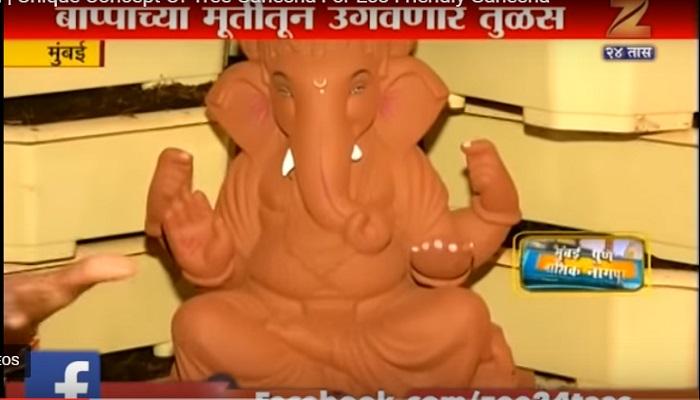 इकोफ्रेंडली ट्री गणेशाला सेलिब्रेटींची पसंती इकोफ्रेंडली ट्री गणेशाला सेलिब्रेटींची पसंती