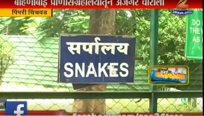 बहिणाबाई प्राणीसंग्रहालयातून अजगर चोरीला बहिणाबाई प्राणीसंग्रहालयातून अजगर चोरीला