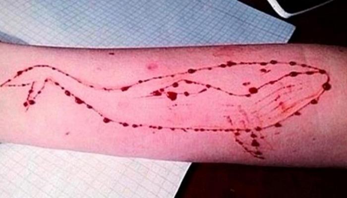 ब्ल्यु व्हेलचा धोका कायम; आणखी एका मुलाने केली आत्महत्या ब्ल्यु व्हेलचा धोका कायम; आणखी एका मुलाने केली आत्महत्या