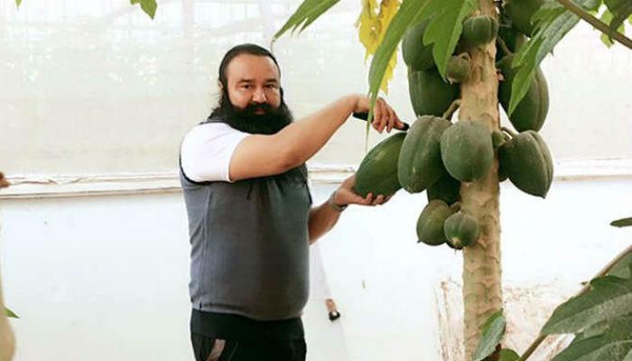 यामुळे सोन्याच्या दरात गुरमित विकत असे भाज्या यामुळे सोन्याच्या दरात गुरमित विकत असे भाज्या