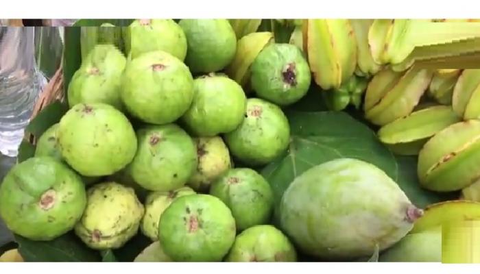 नॅशनल पार्कमध्ये या फळांचा आस्वाद नक्की घ्या नॅशनल पार्कमध्ये या फळांचा आस्वाद नक्की घ्या