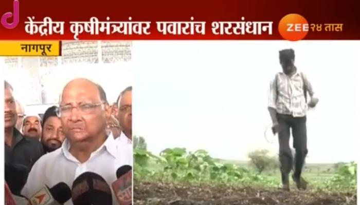 कीटकनाशकांमुळे मृत्यू प्रकरणी पवारांनी केलं मोठं वक्तव्य कीटकनाशकांमुळे मृत्यू प्रकरणी पवारांनी केलं मोठं वक्तव्य