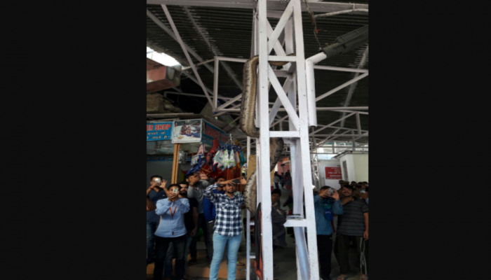 'दादर' रेल्वे स्टेशनवर अजगर! 'त्या' फोटोमागचे व्हायरल सत्य 'दादर' रेल्वे स्टेशनवर अजगर! 'त्या' फोटोमागचे व्हायरल सत्य