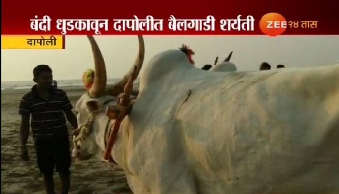 दापोलीच्या अंजार्ले समुद्रकिनाऱ्यावर बैलगाडी शर्यत दापोलीच्या अंजार्ले समुद्रकिनाऱ्यावर बैलगाडी शर्यत