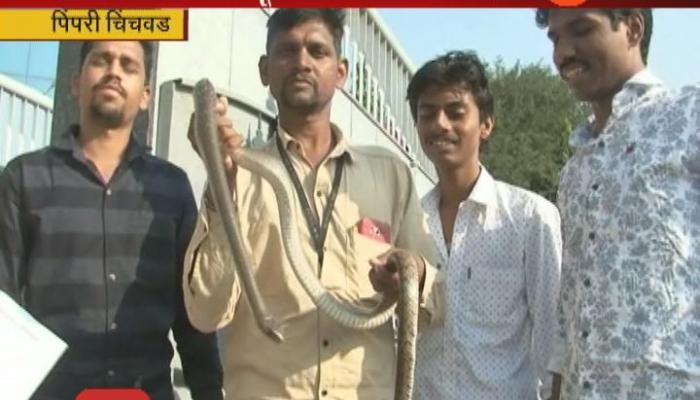 आता उंदीर खरेदी घोटाळा, एक उंदीर १३८ रुपयांना आता उंदीर खरेदी घोटाळा, एक उंदीर १३८ रुपयांना