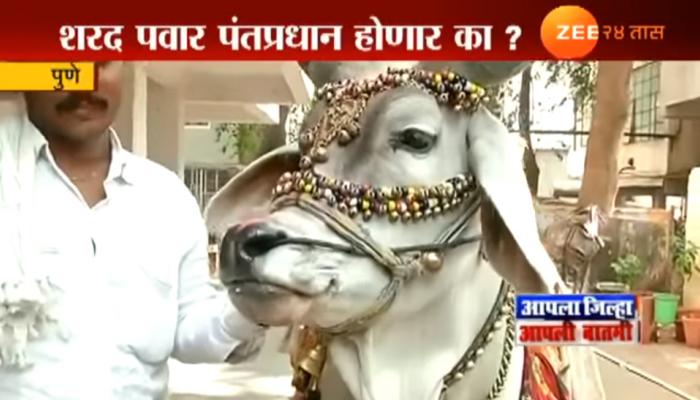 पंतप्रधान कोण होणार? पाहा नंदीचे भाकीत पंतप्रधान कोण होणार? पाहा नंदीचे भाकीत