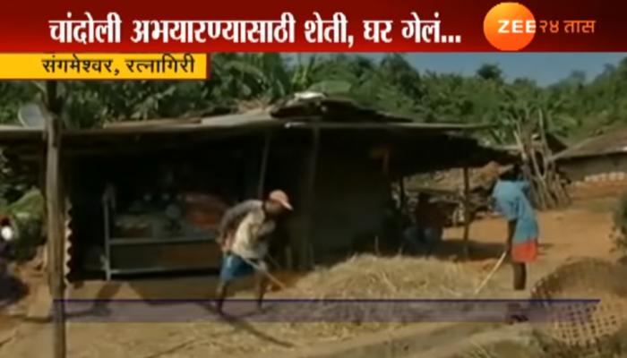 अभयरण्यासाठी गाव उठवलं...पण या कुटुंबाचे पुनर्वसन कधी? अभयरण्यासाठी गाव उठवलं...पण या कुटुंबाचे पुनर्वसन कधी?