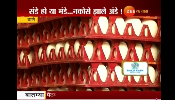 थडीचा कडाक्यात अंड्याच्या महागाईचा भडका थडीचा कडाक्यात अंड्याच्या महागाईचा भडका