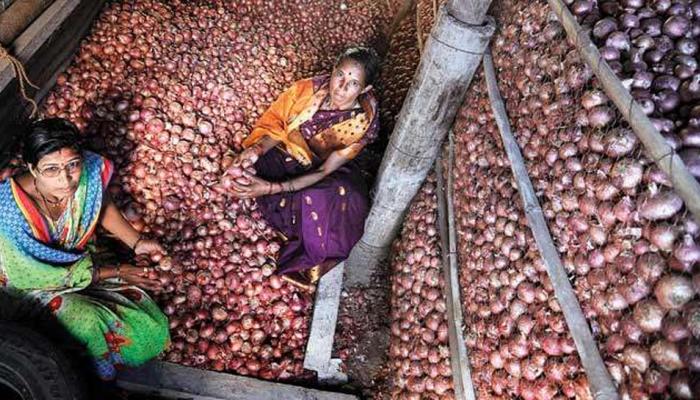 लवकरच कांद्याची किंमत होणार १०० रूपये किलो लवकरच कांद्याची किंमत होणार १०० रूपये किलो