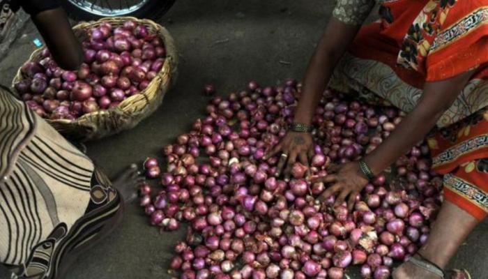 कांद्याच्या किमती सततच का वाढतात? कांद्याच्या किमती सततच का वाढतात?