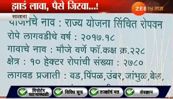 व्हिडिओ : तब्बल चार कोटी खर्चून लावलेली झाडं झाली अचानक गायब! व्हिडिओ : तब्बल चार कोटी खर्चून लावलेली झाडं झाली अचानक गायब!