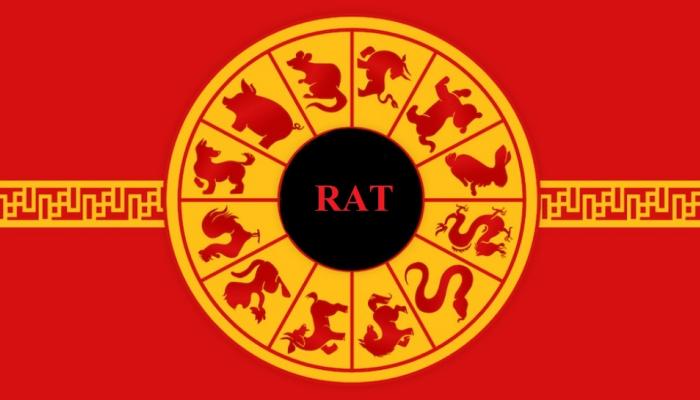 जाणून घ्या, Chinese Horoscope नुसार कसे असेल २०१८ हे वर्ष जाणून घ्या, Chinese Horoscope नुसार कसे असेल २०१८ हे वर्ष