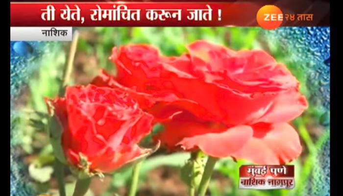 नाशिकरांना हुडहुडी ; पर्यटक घेतायेत गुलाबी, बोचऱ्या थंडीचा आस्वाद नाशिकरांना हुडहुडी ; पर्यटक घेतायेत गुलाबी, बोचऱ्या थंडीचा आस्वाद