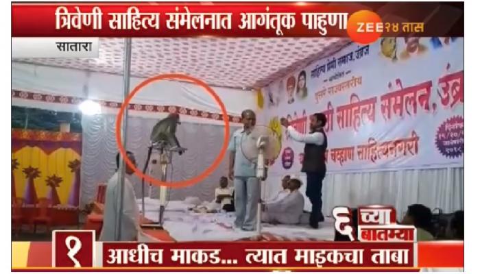 अखेर माकडाने घेतला साहित्य संमेलनाचा ताबा... अखेर माकडाने घेतला साहित्य संमेलनाचा ताबा...