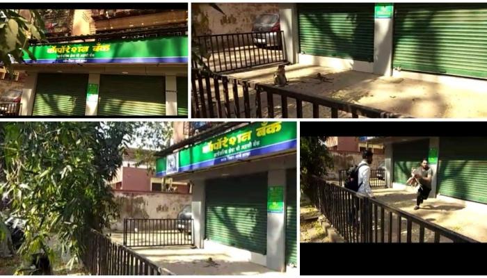 माकडिणीने यासाठी धरलं कॉर्पोरेशन बँकेचं दार (व्हिडिओ) माकडिणीने यासाठी धरलं कॉर्पोरेशन बँकेचं दार (व्हिडिओ)