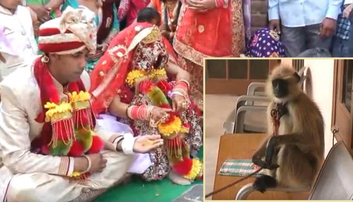 नवरदेवाला लग्नात आलिशान कार किंवा बाईक नाही तर सासऱ्याने दिला... नवरदेवाला लग्नात आलिशान कार किंवा बाईक नाही तर सासऱ्याने दिला...